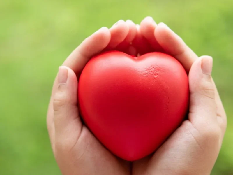 goodheart-m1-s3-c